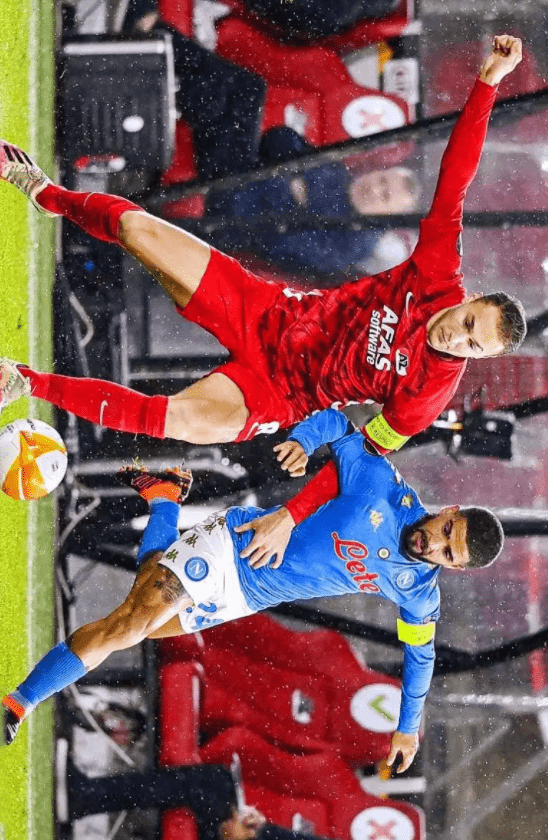 逊列入了引 逊列入了引